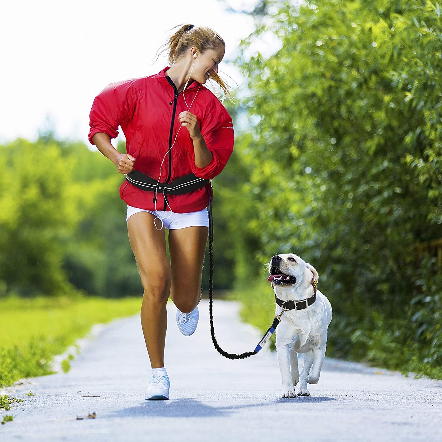 Retractable Hands Free Dog Leash W/Smartphone Pouch – Dual Handle Bungee Waist Leash for up to 150 Lbs Large Dogs (Black - Blue W/Smartphone Pouch)