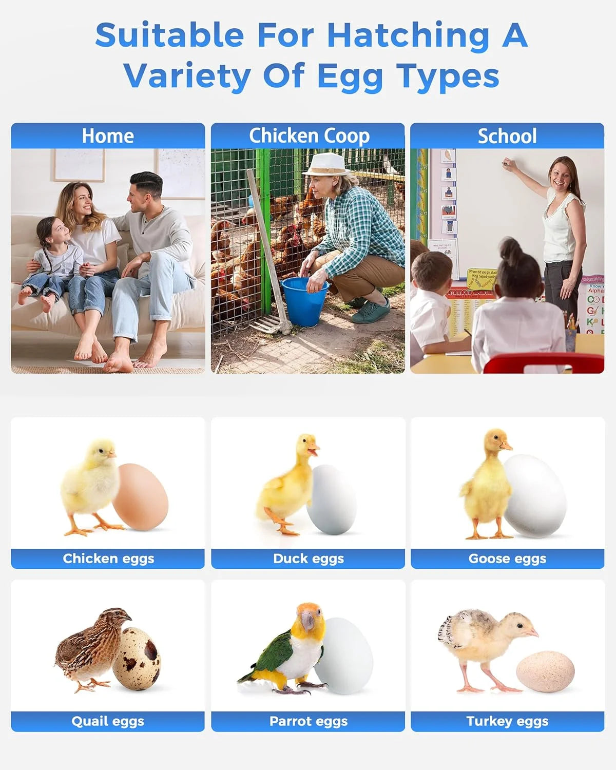 18 Egg Incubator with Automatic Egg Turning and Humidity Control, 360° View Auto Water Adding, Egg Candler Incubators for Hatching Eggs for Chicken Ducks