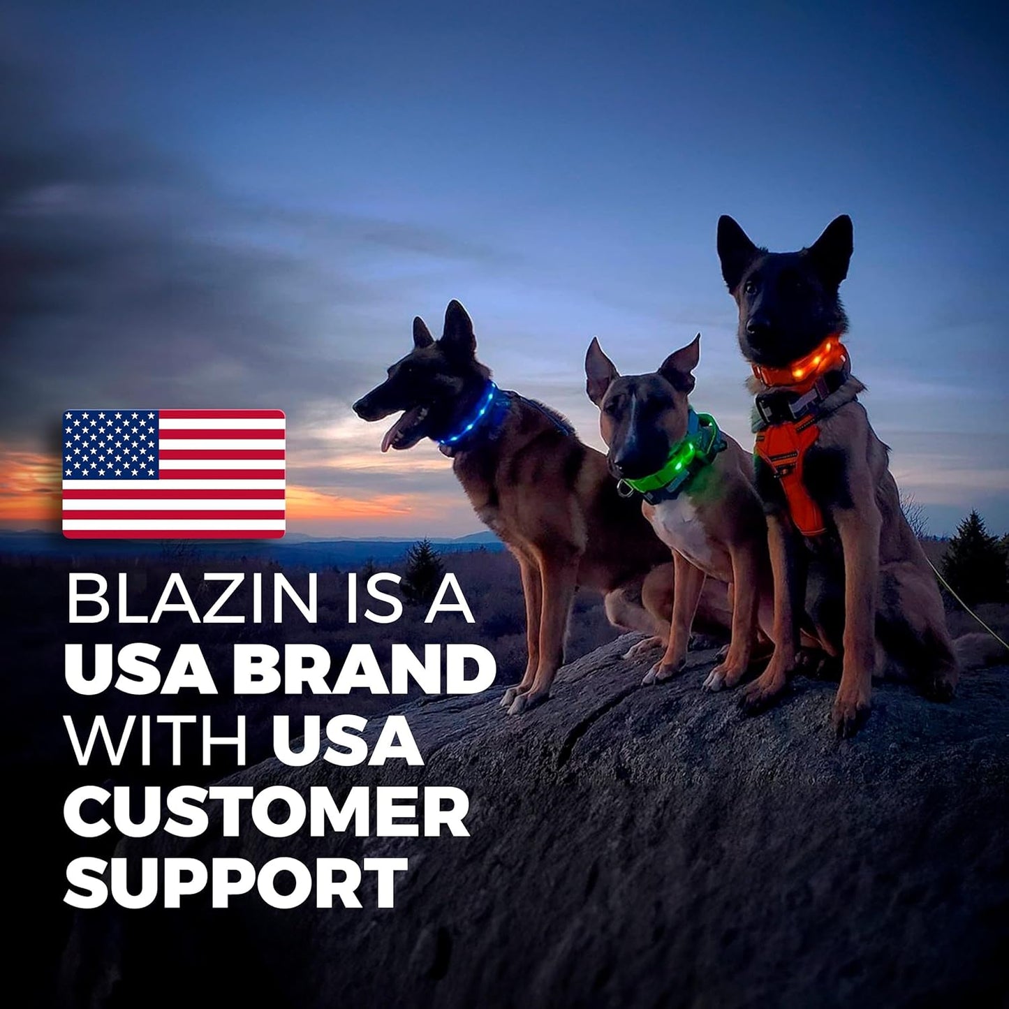 LED Dog Collar - Rechargeable, Waterproof & Highly Visible - Perfect for All Dog Sizes!