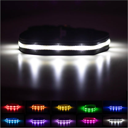 LED Dog Collar - Rechargeable, Waterproof & Highly Visible - Perfect for All Dog Sizes!