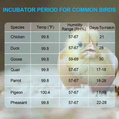 18 Egg Incubator with Automatic Egg Turning and Humidity Control, 360° View Auto Water Adding, Egg Candler Incubators for Hatching Eggs for Chicken Ducks