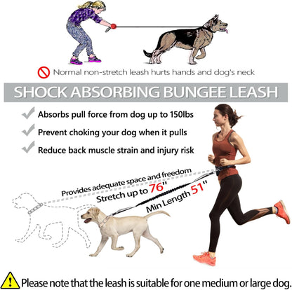 Hands Free Dog Leash, Waist Running Leash with Zipper, Walking Pouch for Medium Large Dogs, Dual Handle and Retractable Bungee for Training Jogging Hiking