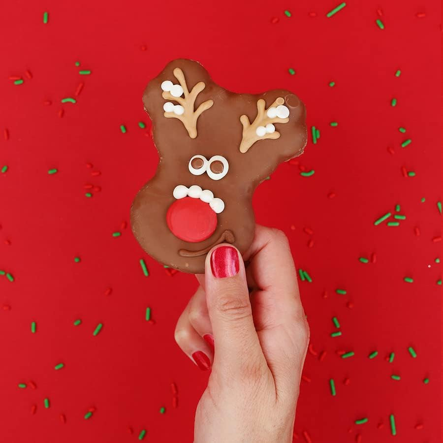 Dog Cookie Box | Handmade Hand-Decorated Dog Treats | Dog Gift Box Made with Locally Sourced Ingredients (Night before Christmas)