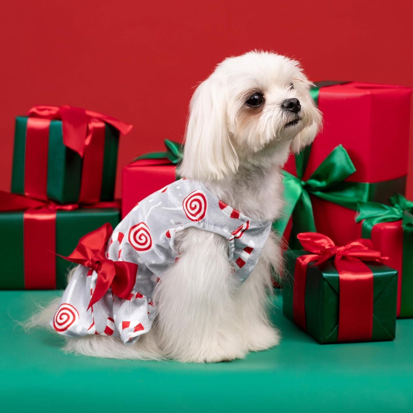 Christmas Candy Canes Dog Dress, Cute Dog Christmas Outfit, Doggy Clothes for Small Dogs Girl, Pet Apparel, Silver, Red, White, Medium