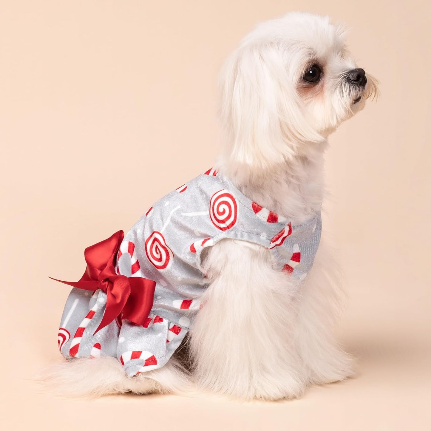 Christmas Candy Canes Dog Dress, Cute Dog Christmas Outfit, Doggy Clothes for Small Dogs Girl, Pet Apparel, Silver, Red, White, Medium